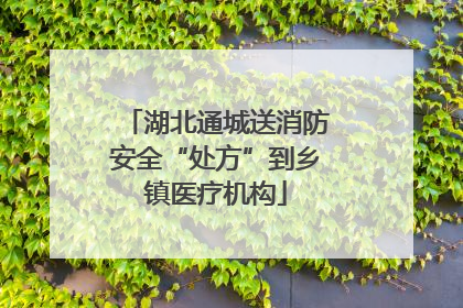 湖北通城送消防安全“处方”到乡镇医疗机构