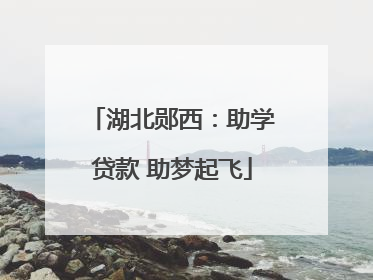 湖北郧西：助学贷款 助梦起飞
