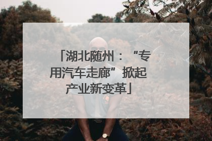 湖北随州：“专用汽车走廊”掀起产业新变革