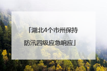 湖北4个市州保持防汛四级应急响应