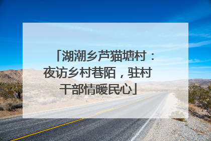 湖潮乡芦猫塘村：夜访乡村巷陌，驻村干部情暖民心