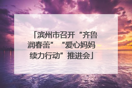滨州市召开“齐鲁润春蕾”“爱心妈妈续力行动”推进会