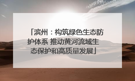 滨州：构筑绿色生态防护体系 推动黄河流域生态保护和高质量发展