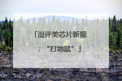 漫评美芯片新规：“打地鼠”