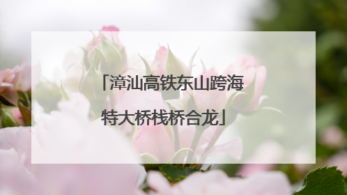 漳汕高铁东山跨海特大桥栈桥合龙