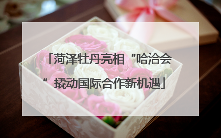 菏泽牡丹亮相“哈洽会”撬动国际合作新机遇