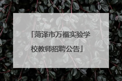 菏泽市万福实验学校教师招聘公告
