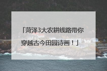 菏泽3大农耕线路带你穿越古今田园诗画！