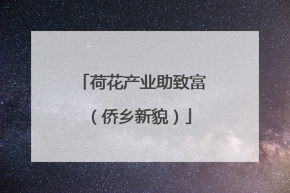 荷花产业助致富（侨乡新貌）
