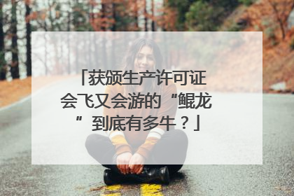 获颁生产许可证 会飞又会游的“鲲龙”到底有多牛？