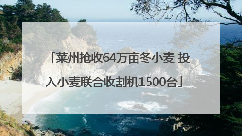莱州抢收64万亩冬小麦 投入小麦联合收割机1500台