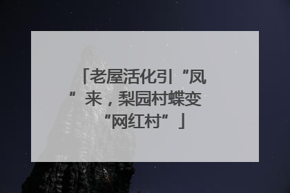 老屋活化引“凤”来，梨园村蝶变“网红村”