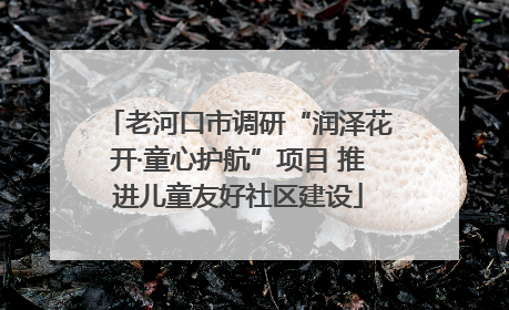 老河口市调研“润泽花开·童心护航”项目 推进儿童友好社区建设