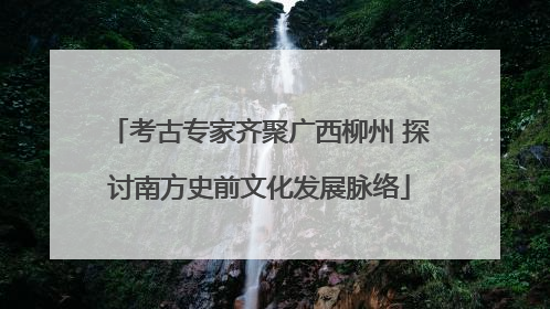 考古专家齐聚广西柳州 探讨南方史前文化发展脉络