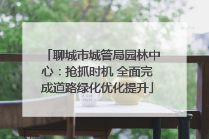 聊城市城管局园林中心：抢抓时机 全面完成道路绿化优化提升