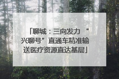 聊城：三向发力 “兴聊号”直通车精准输送医疗资源直达基层
