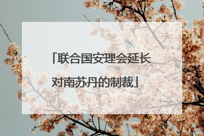 联合国安理会延长对南苏丹的制裁