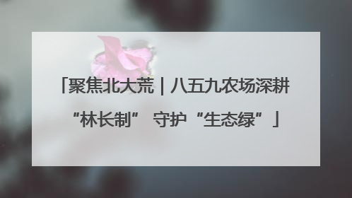 聚焦北大荒｜八五九农场深耕“林长制” 守护“生态绿”