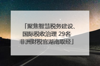 聚焦智慧税务建设、国际税收治理 29名非洲财税官湖南取经