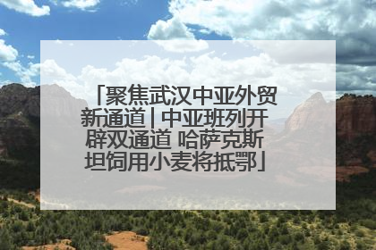 聚焦武汉中亚外贸新通道│中亚班列开辟双通道 哈萨克斯坦饲用小麦将抵鄂