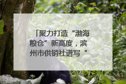 聚力打造“渤海粮仓”新高度，滨州市供销社谱写“三夏”丰收乐章