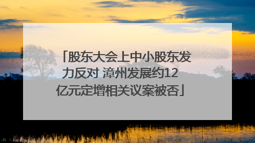 股东大会上中小股东发力反对 漳州发展约12亿元定增相关议案被否