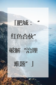 肥城：“红色合伙”破解“治理难题”