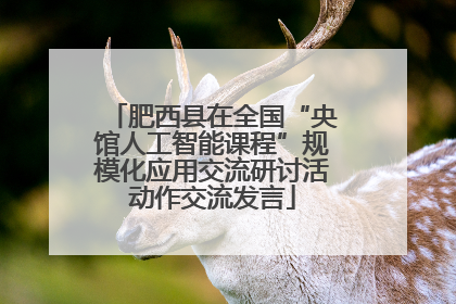 肥西县在全国“央馆人工智能课程”规模化应用交流研讨活动作交流发言