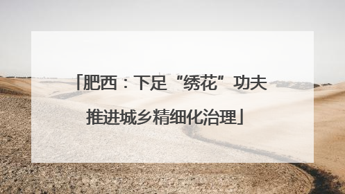 肥西：下足“绣花”功夫 推进城乡精细化治理