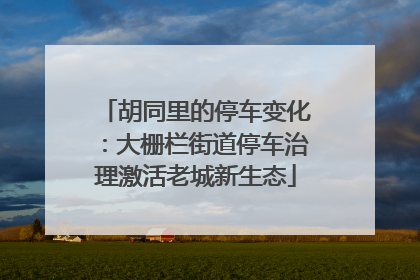 胡同里的停车变化：大栅栏街道停车治理激活老城新生态
