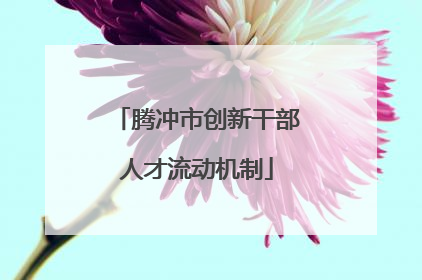 腾冲市创新干部人才流动机制