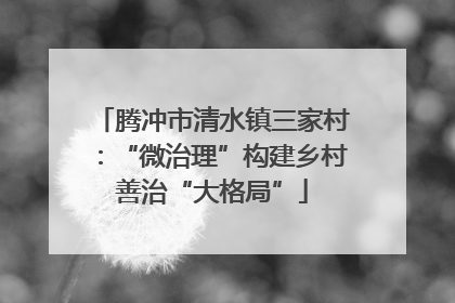 腾冲市清水镇三家村：“微治理”构建乡村善治“大格局”