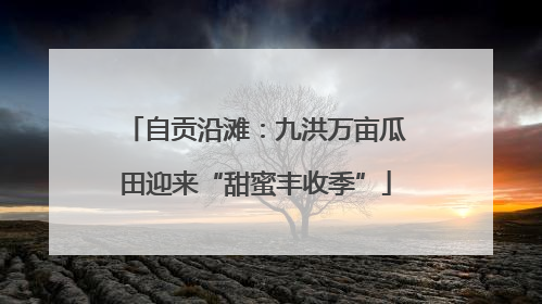 自贡沿滩：九洪万亩瓜田迎来“甜蜜丰收季”