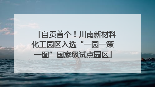 自贡首个！川南新材料化工园区入选“一园一策一图”国家级试点园区