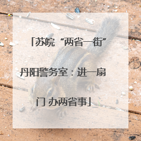 苏皖“两省一街”丹阳警务室：进一扇门 办两省事