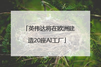 英伟达将在欧洲建造20座AI工厂