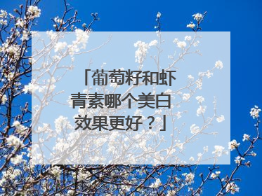葡萄籽和虾青素哪个美白效果更好？