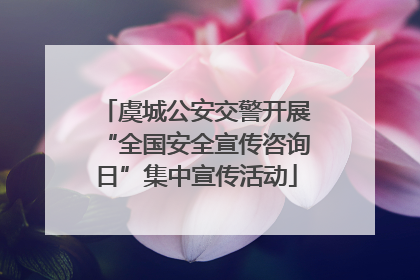 虞城公安交警开展“全国安全宣传咨询日”集中宣传活动