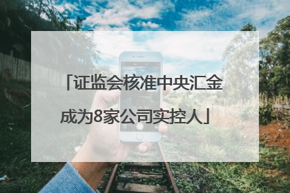 证监会核准中央汇金成为8家公司实控人