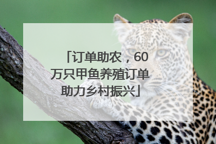 订单助农，60万只甲鱼养殖订单助力乡村振兴