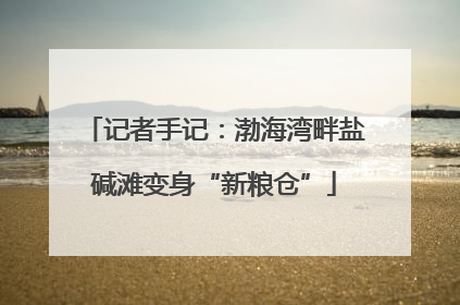 记者手记：渤海湾畔盐碱滩变身“新粮仓”