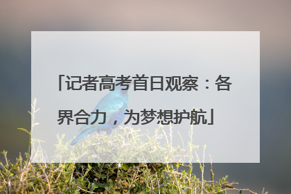 记者高考首日观察：各界合力，为梦想护航