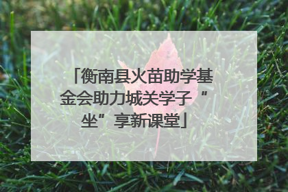 衡南县火苗助学基金会助力城关学子“坐”享新课堂