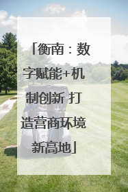 衡南：数字赋能+机制创新 打造营商环境新高地