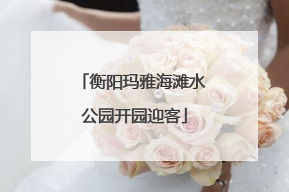 衡阳玛雅海滩水公园开园迎客