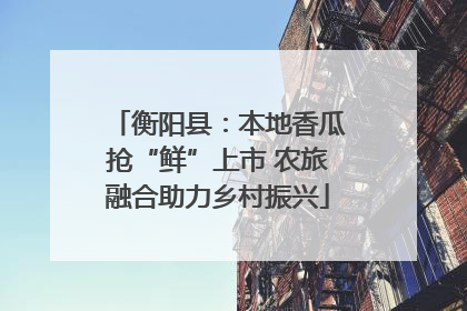 衡阳县：本地香瓜抢“鲜”上市 农旅融合助力乡村振兴