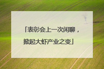 表彰会上一次闲聊，掀起大虾产业之变