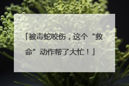 被毒蛇咬伤，这个“救命”动作帮了大忙！
