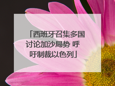 西班牙召集多国讨论加沙局势 呼吁制裁以色列