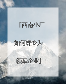 西南小厂如何蝶变为领军企业